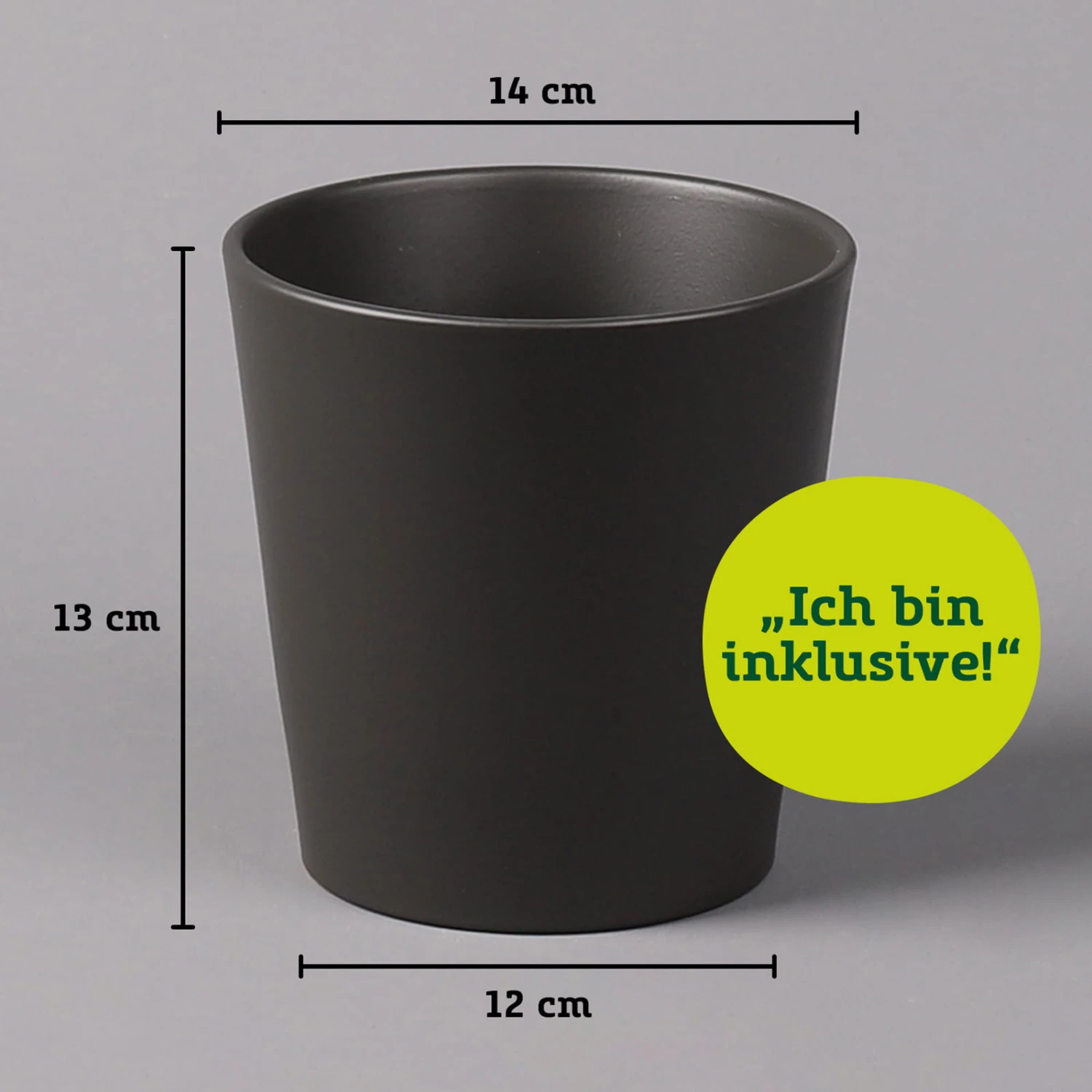 Bogenhanf In Keramiktopf Anthrazit, Topf-Ø 12 Cm, Höhe Ca. 35-45 Cm, 3er-Set – Bild 6