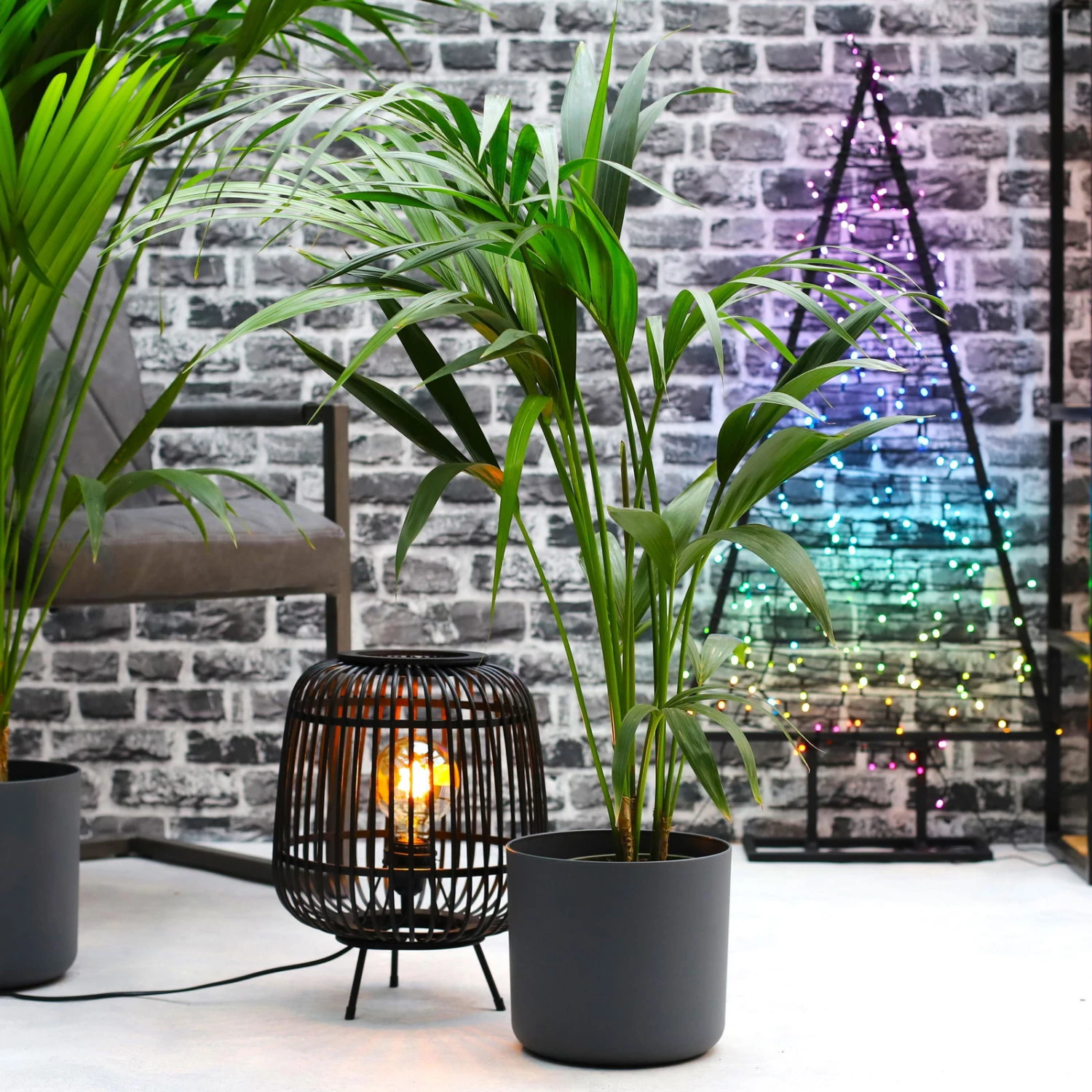 Twinkly LED-Lichterkette Strings, Länge 32m, 400 Lichter, Steuerung Via App – Bild 2