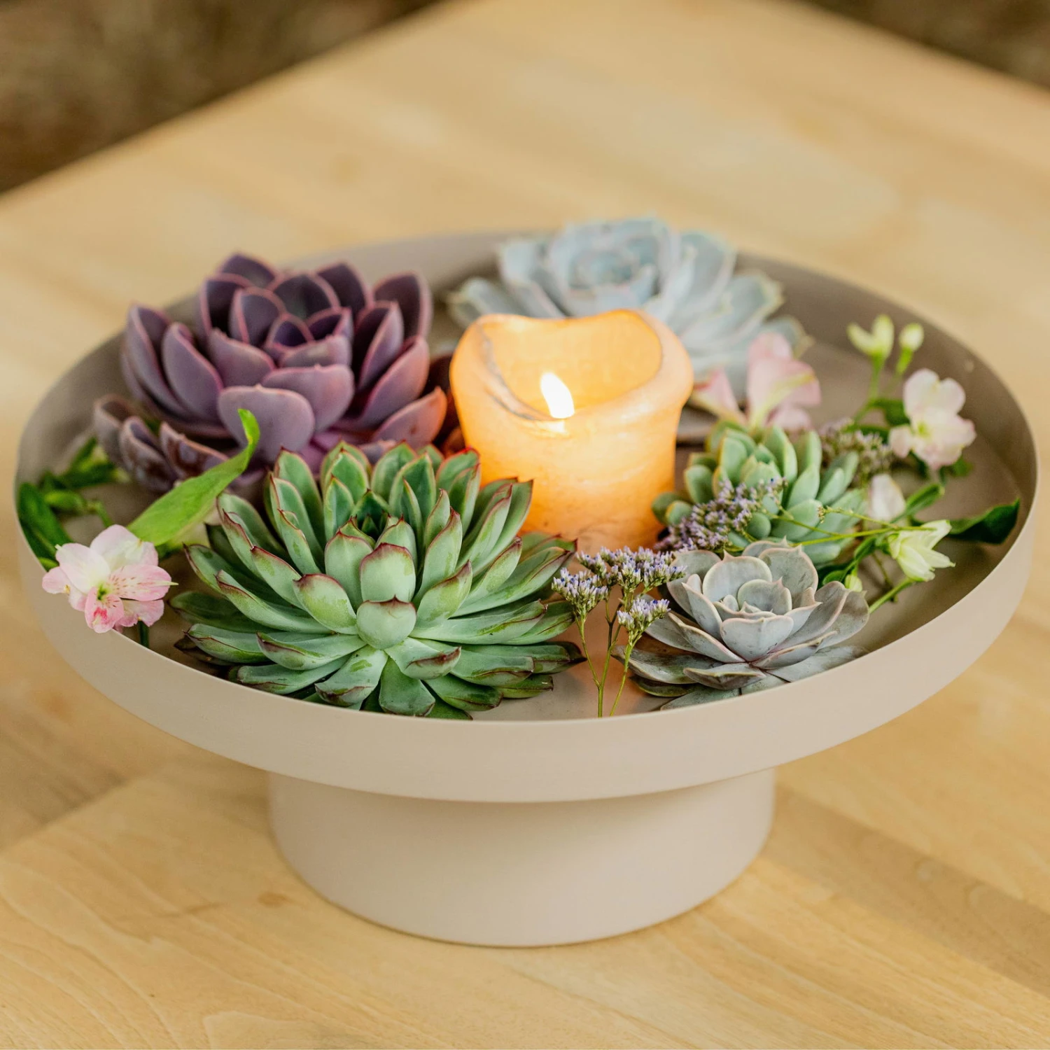 Schnittecheverien-Mix, Ø 12 Cm, 4er-Set – Bild 6