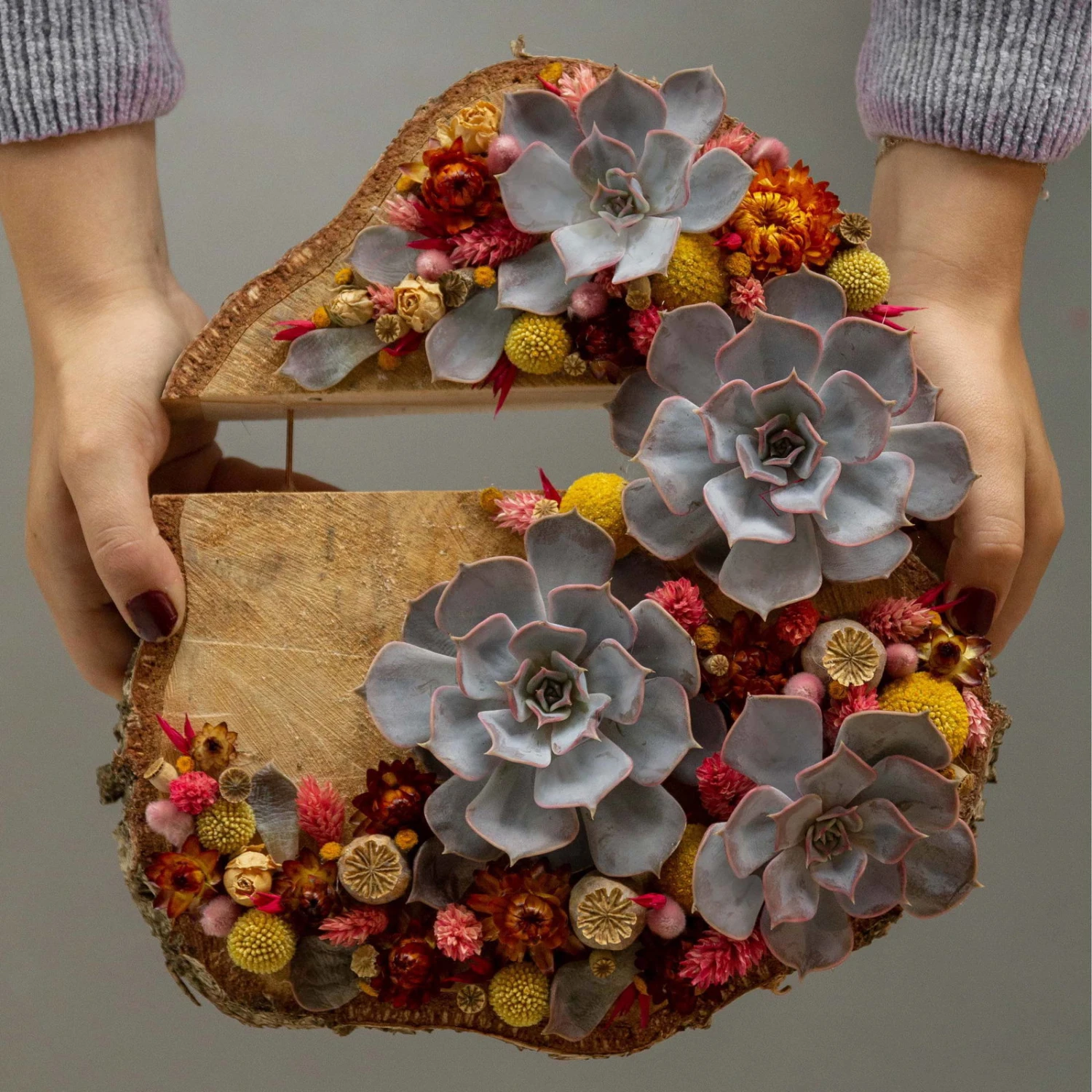 Schnittecheverien-Mix, Ø 12 Cm, 4er-Set – Bild 2