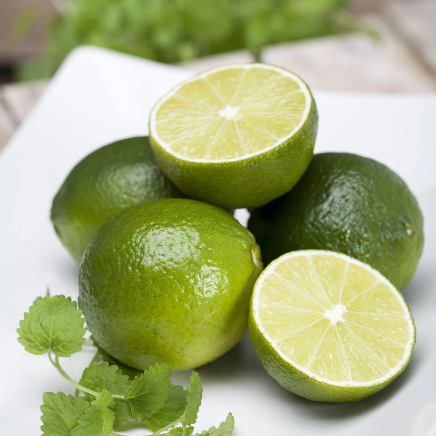 Echter Limettenbaum, Stamm, Topf-Ø 20 Cm, Höhe Ca. 60 Cm – Bild 3