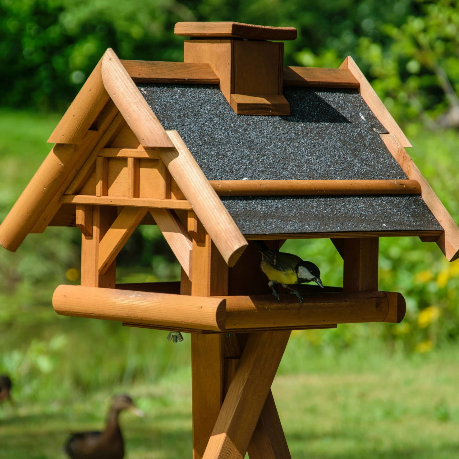 Vogelhaus Inkl. Ständer, Holz, Bernstein, 39 X 38 X 33 Cm – Bild 6