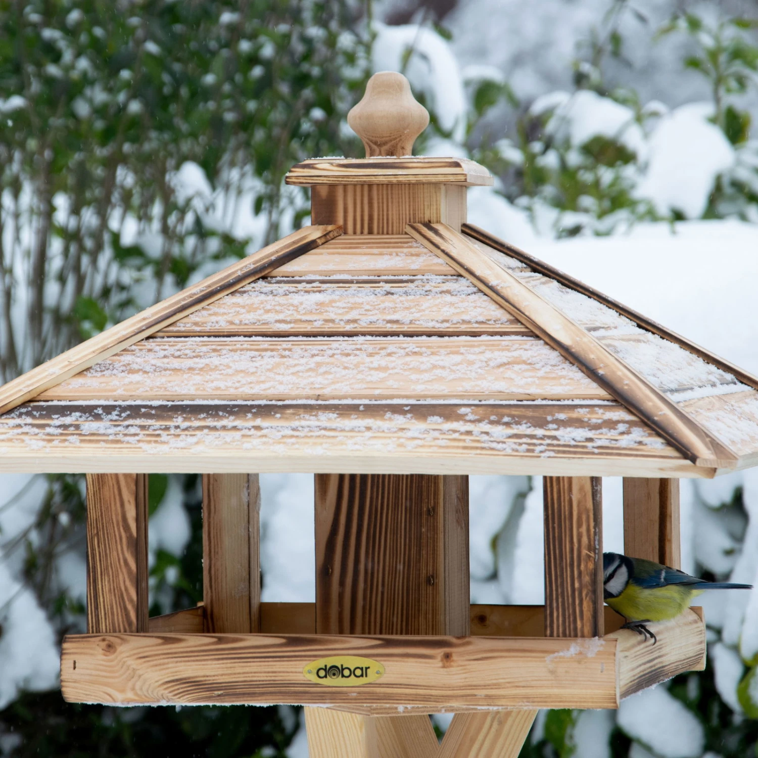 Kiefer-Vogelhaus 'Heat', Geflammt, 49 X 49 X 39 Cm – Bild 3