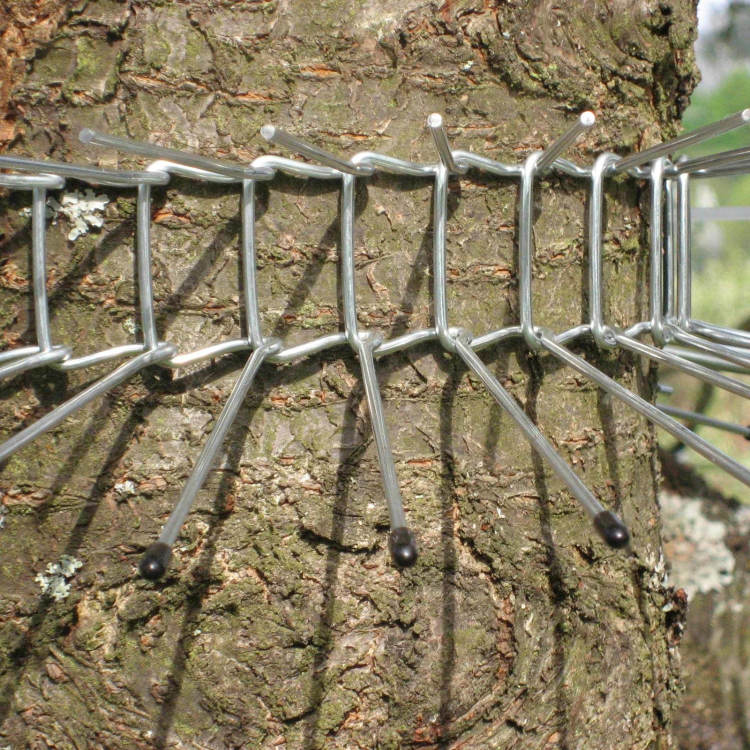 Katzenabwehrgürtel, Draht, Schutz Für Brütende Vögel, Umfang Bis 70 Cm – Bild 2