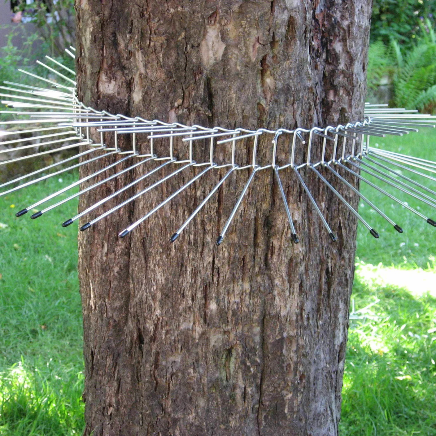 Katzenabwehrgürtel, Draht, Schutz Für Brütende Vögel, Umfang Bis 70 Cm