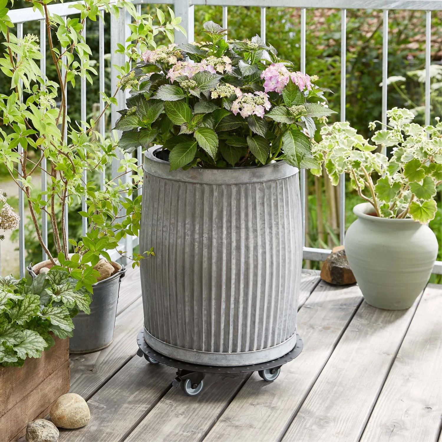 Pflanzenroller 'Alaska', Tragkraft 150 Kg, Anthrazit, Alu, 7 X 38 X 38 Cm – Bild 2