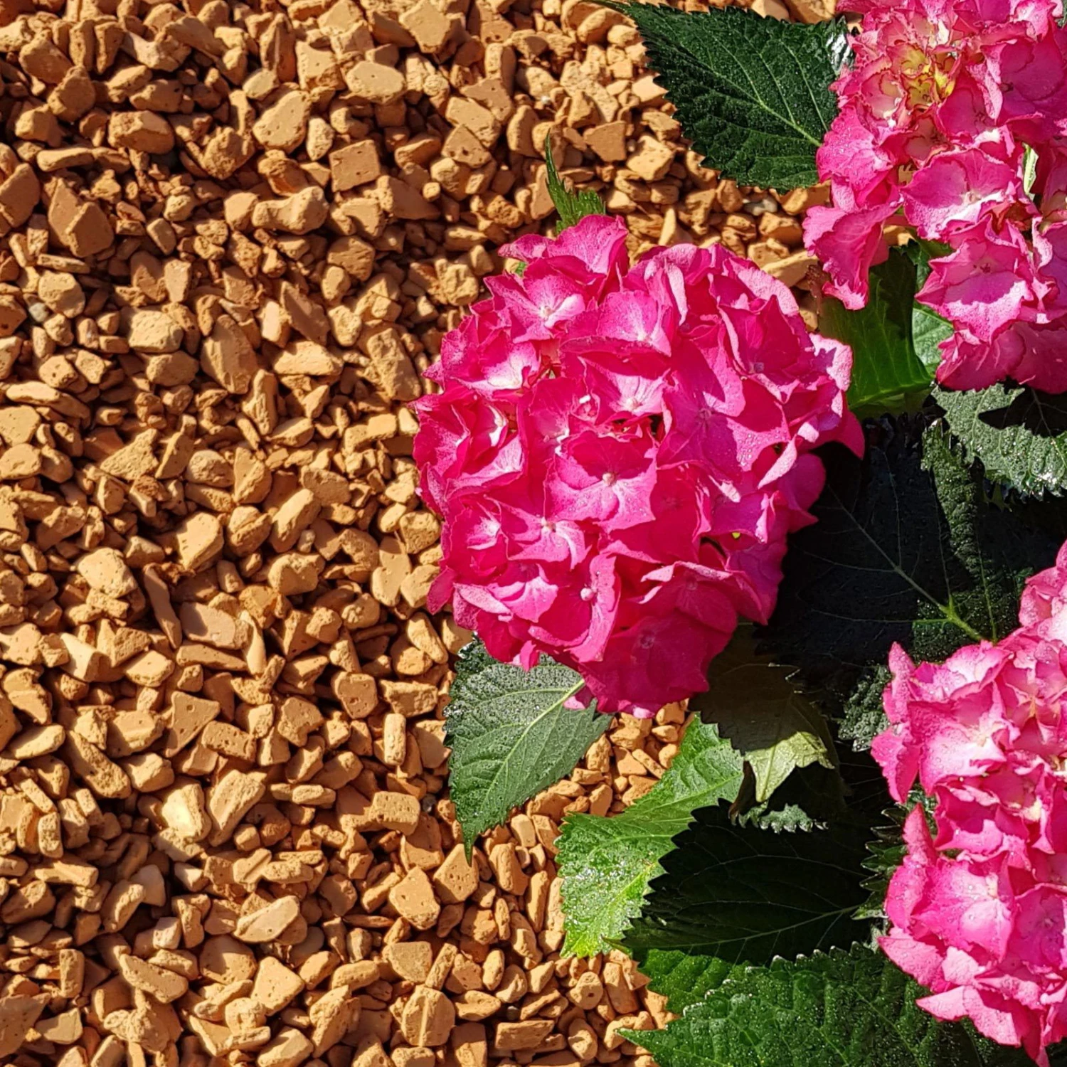 Ziegel-Granulat Granupur 4-20 Mm, 20 Liter – Bild 2