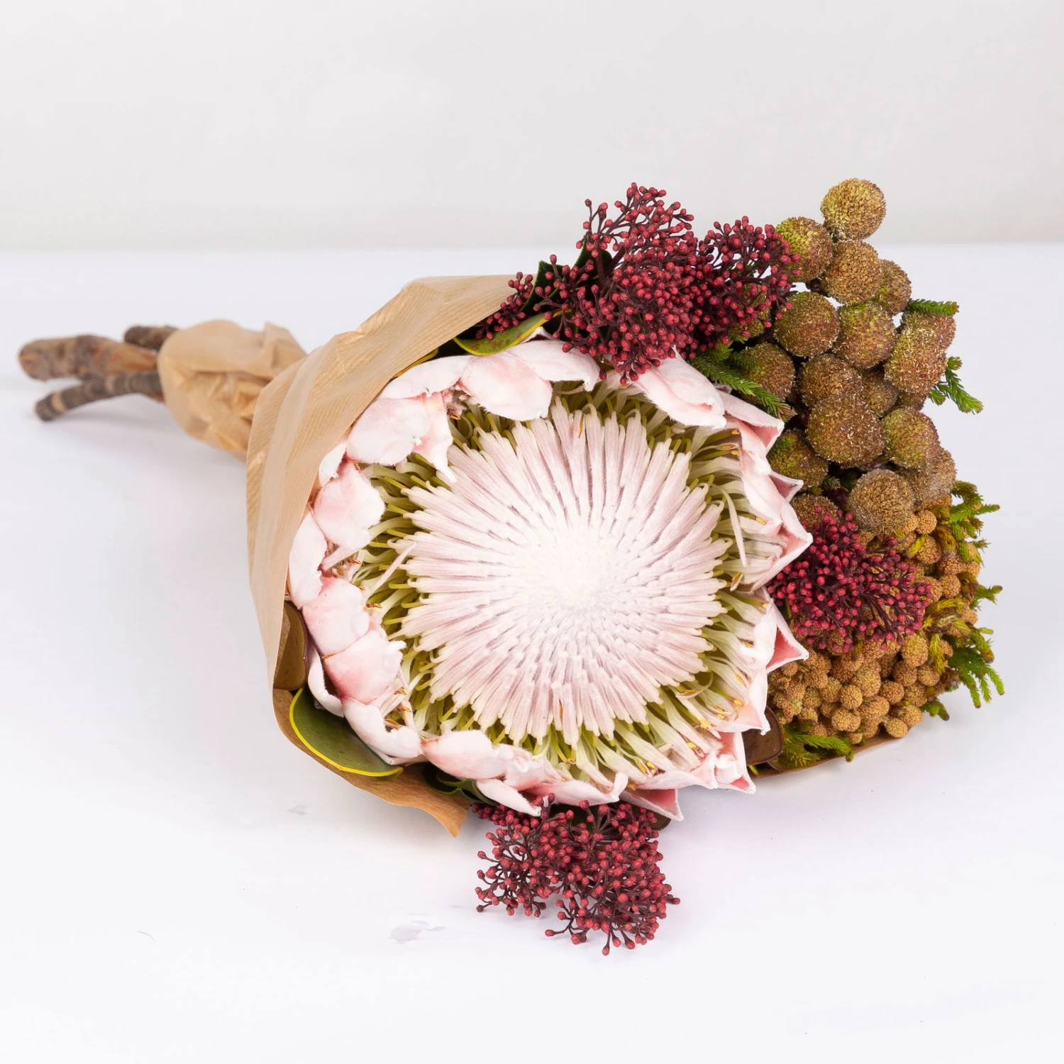 Blumenbund Protea King Mit Skimmie Und Kapgrün, Inkl. Gratis Grußkarte – Bild 2