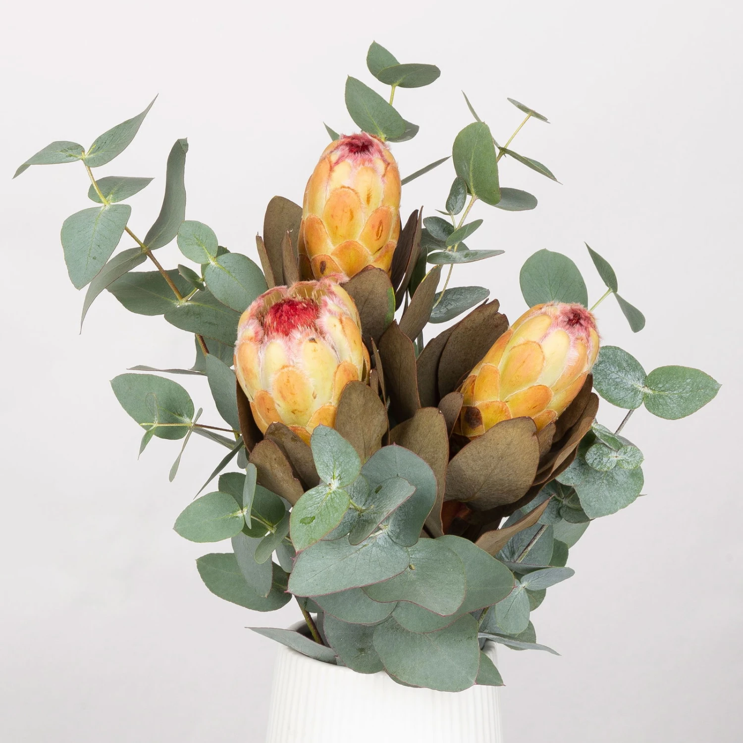 Blumenbund Protea & Eukalyptus, Inkl. Gratis Grußkarte – Bild 3