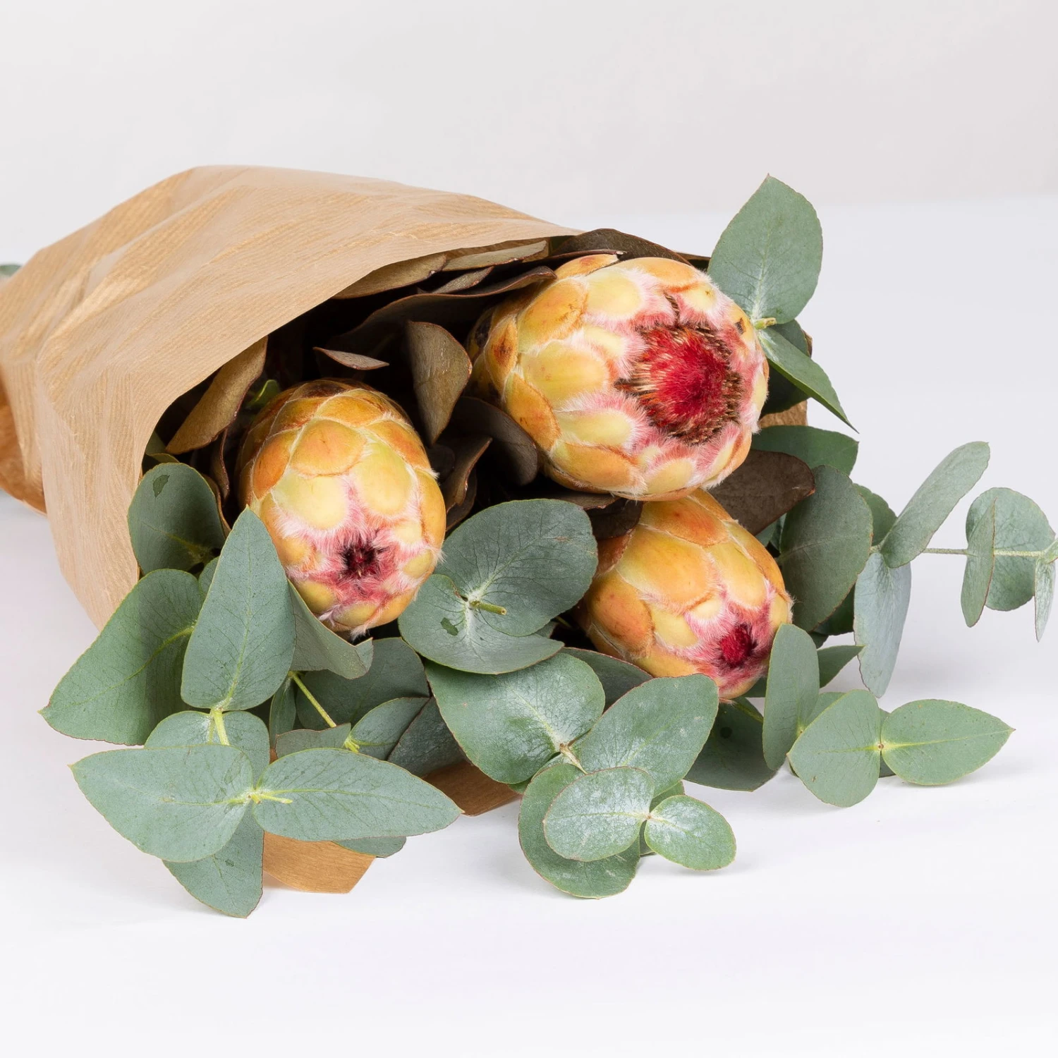 Blumenbund Protea & Eukalyptus, Inkl. Gratis Grußkarte – Bild 4