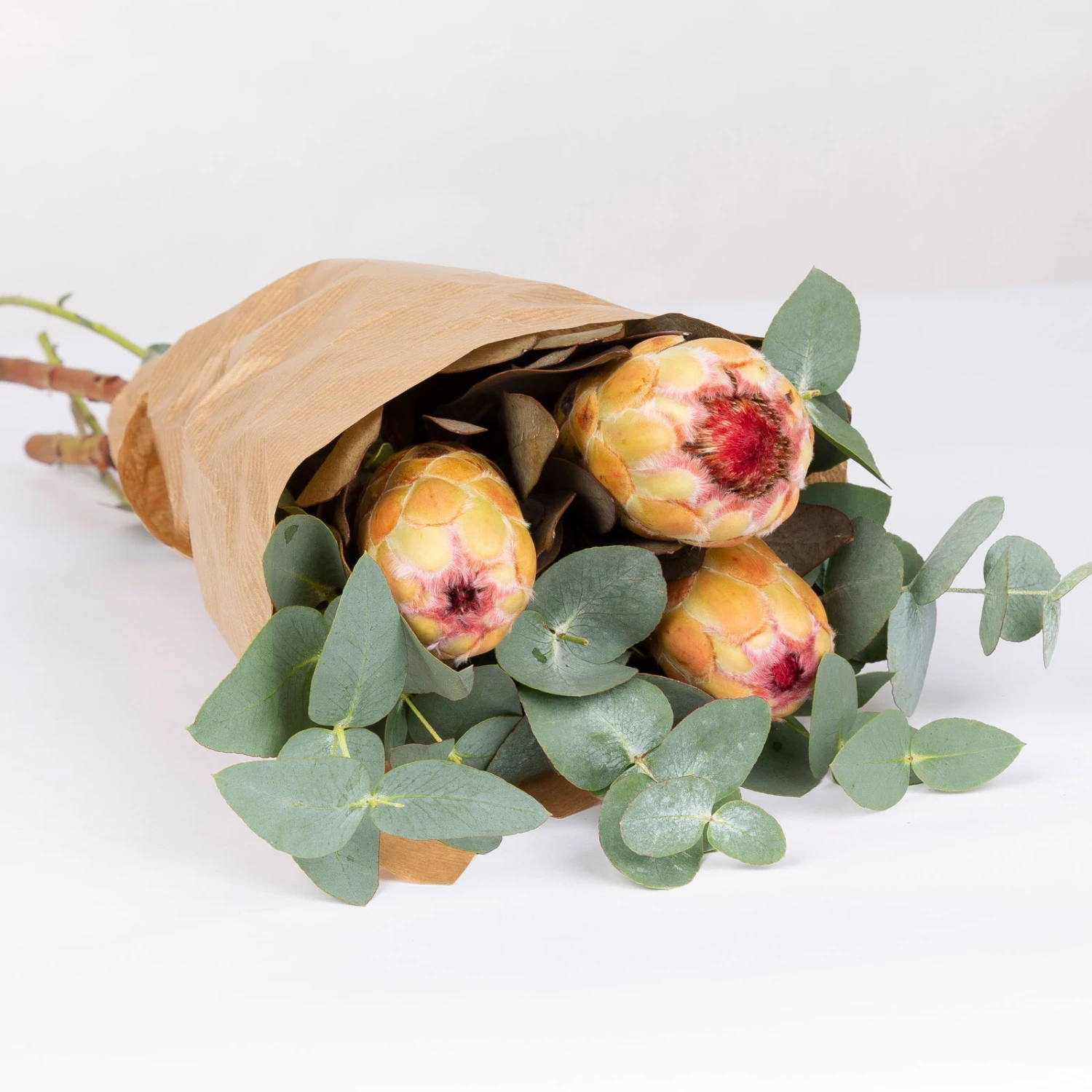 Blumenbund Protea & Eukalyptus, Inkl. Gratis Grußkarte – Bild 2