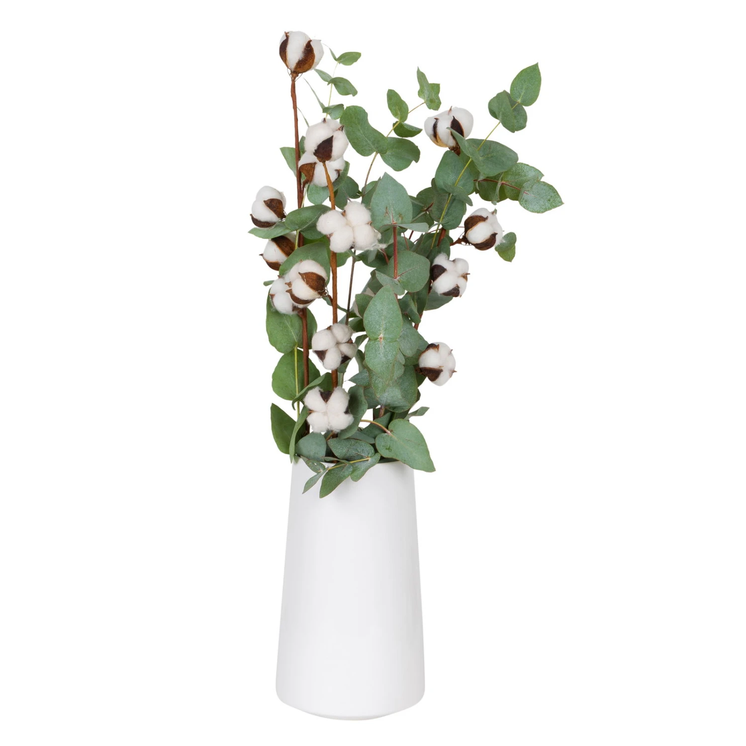 Eukalyptus Getrocknet Und Baumwolle, 2er-Set – Bild 3