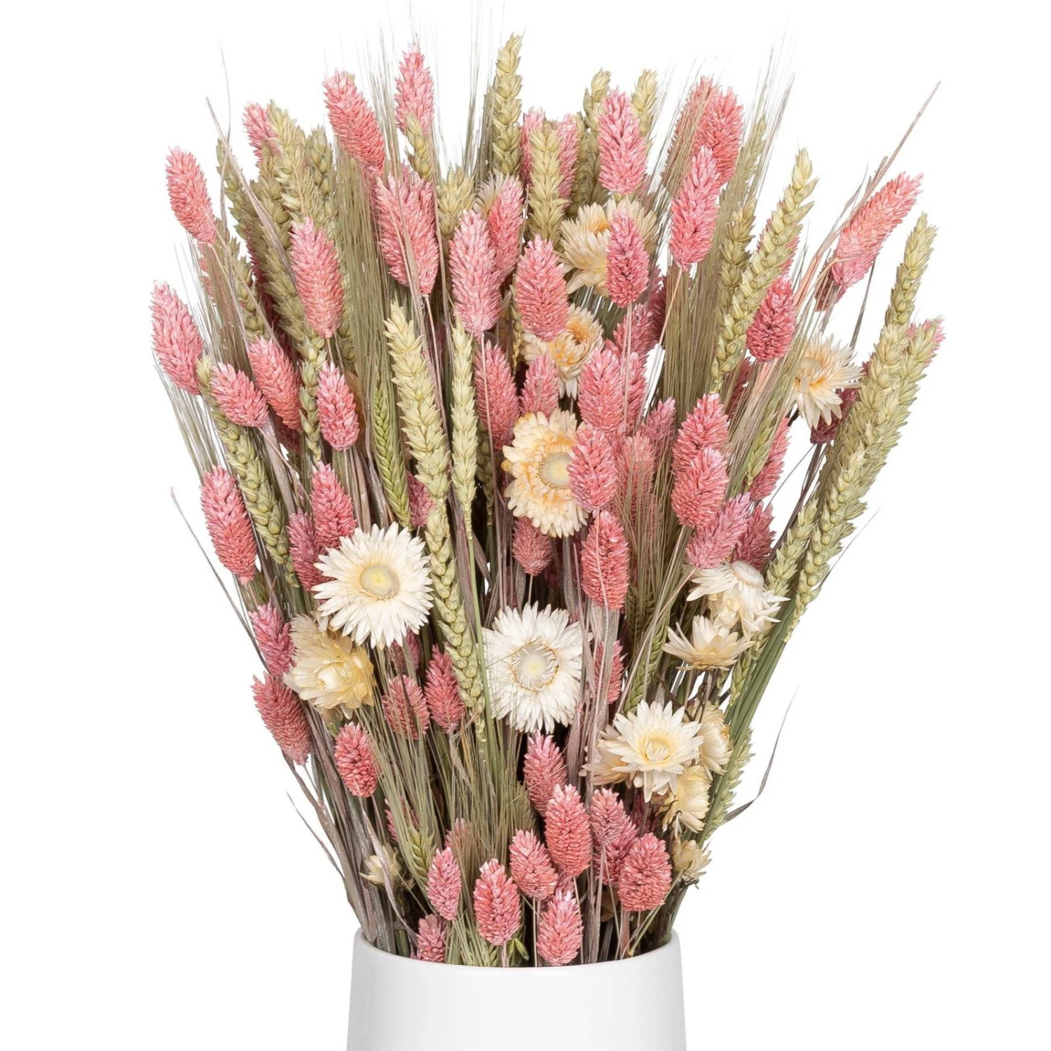 Weißer Trockenstrauß & Rosa Glanzgras, 3er-Set, Länge Ca. 55 - 70 Cm