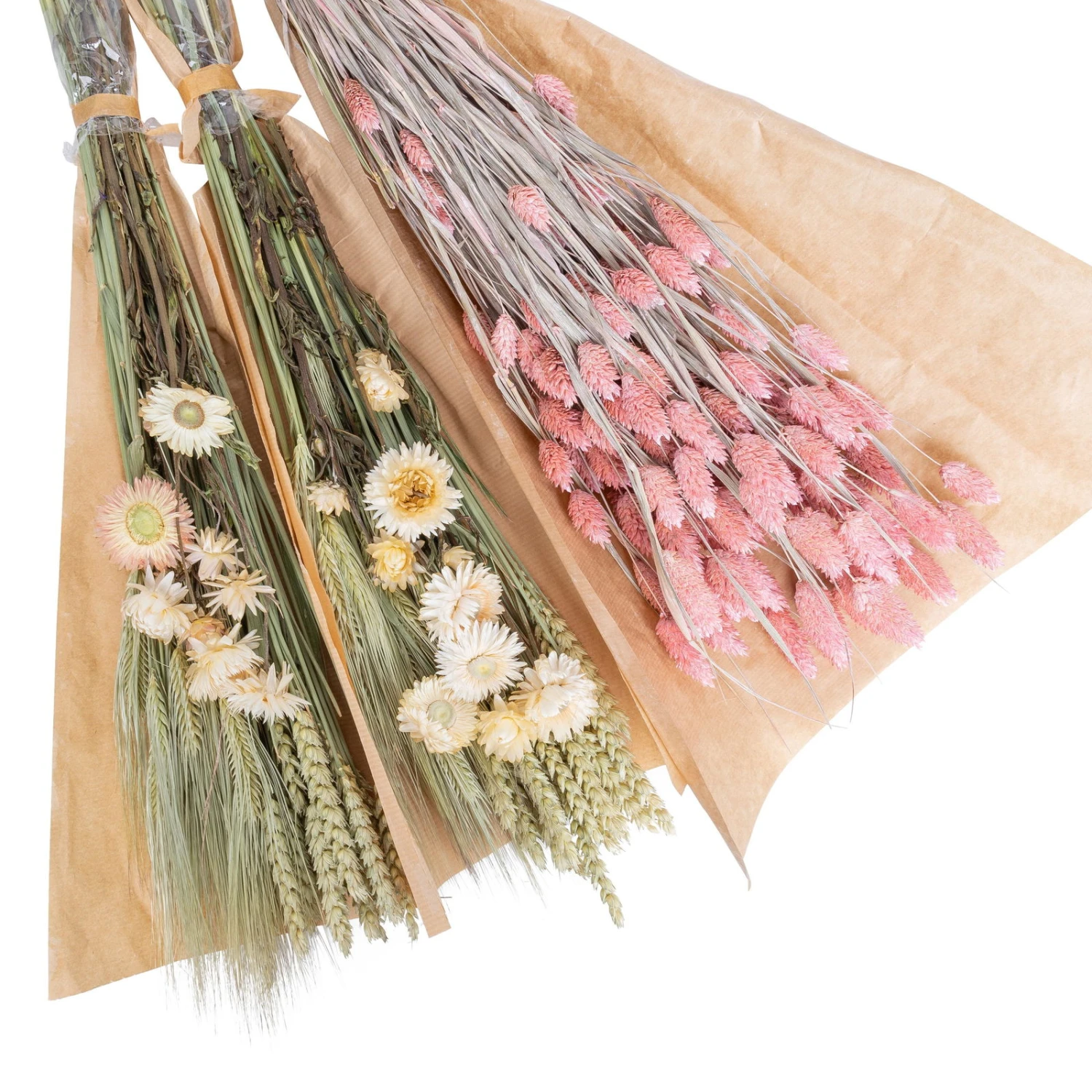 Weißer Trockenstrauß & Rosa Glanzgras, 3er-Set, Länge Ca. 55 - 70 Cm – Bild 2
