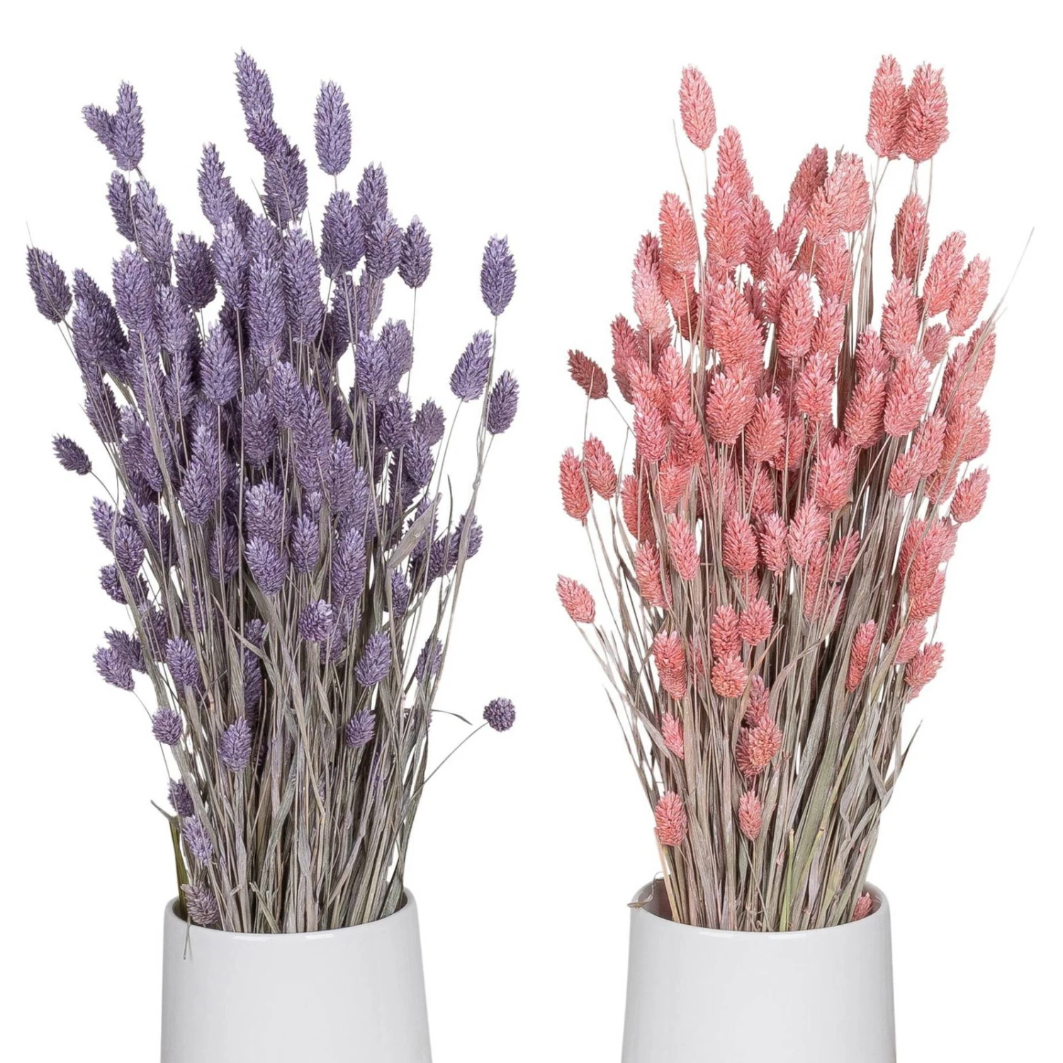 Lila & Rosa Glanzgras, 2er-Set, Länge Ca. 70 Cm