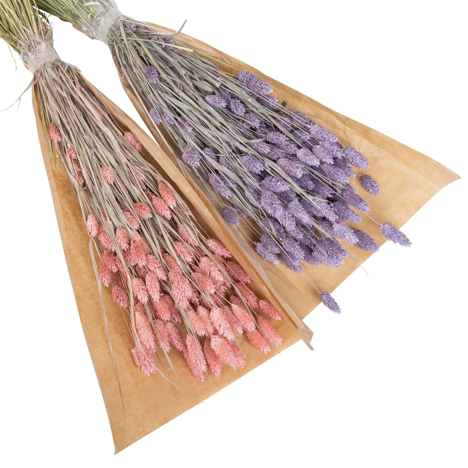 Lila & Rosa Glanzgras, 2er-Set, Länge Ca. 70 Cm – Bild 2
