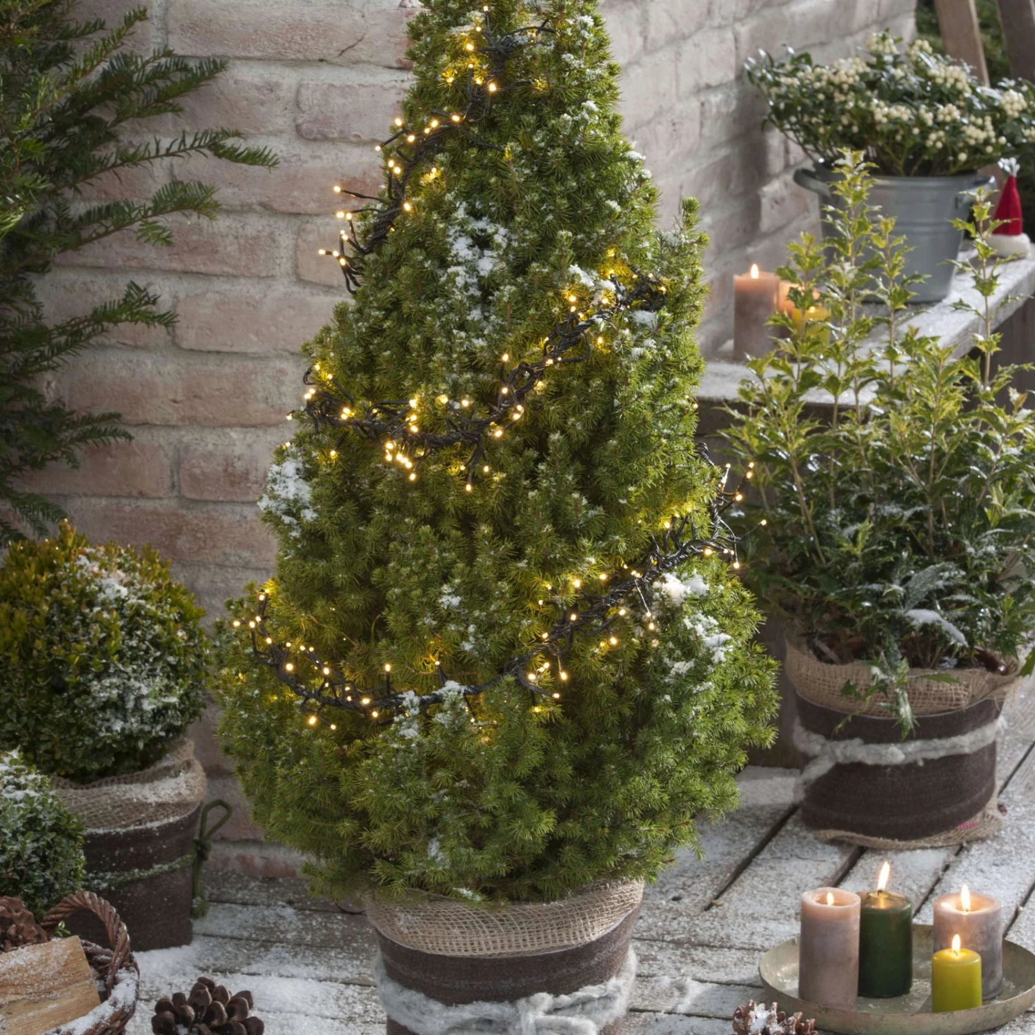 Kölle LED Lichterkette, Gruppenbeleuchtung Mit 288 Lichtern, Schwarz, 2,4 M, Warmweiß – Bild 3