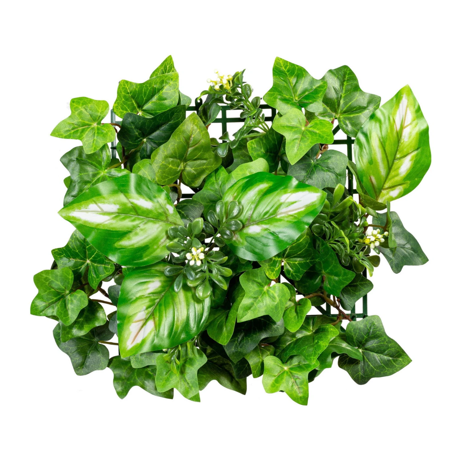 Blättermatte Philo-Efeumix, 2er-Set, Ca. 33 X 33 Cm