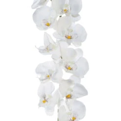 Kunstpflanze Phalaenopsis-Girlande, Weiß, Höhe Ca. 173 Cm