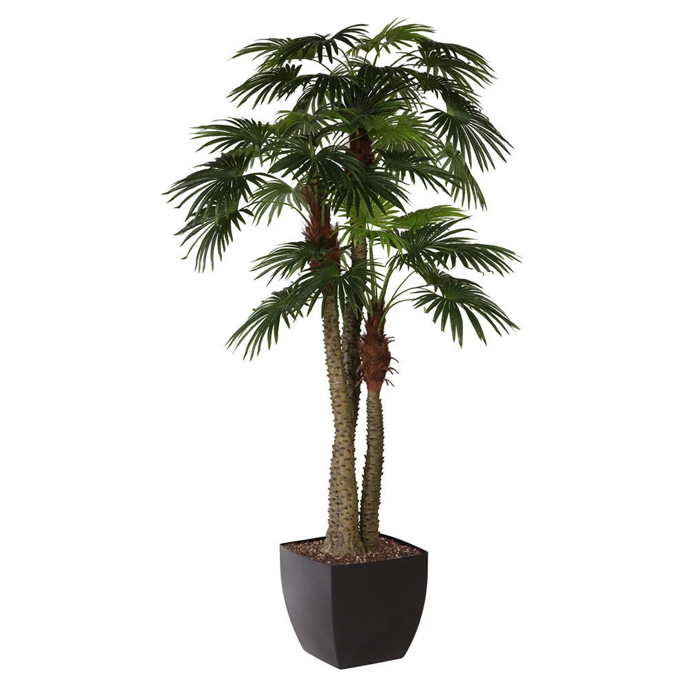 Kunstpflanze Fächerpalme Mit 3 Stämmen Und 45 Blättern, Ca. 300 Cm