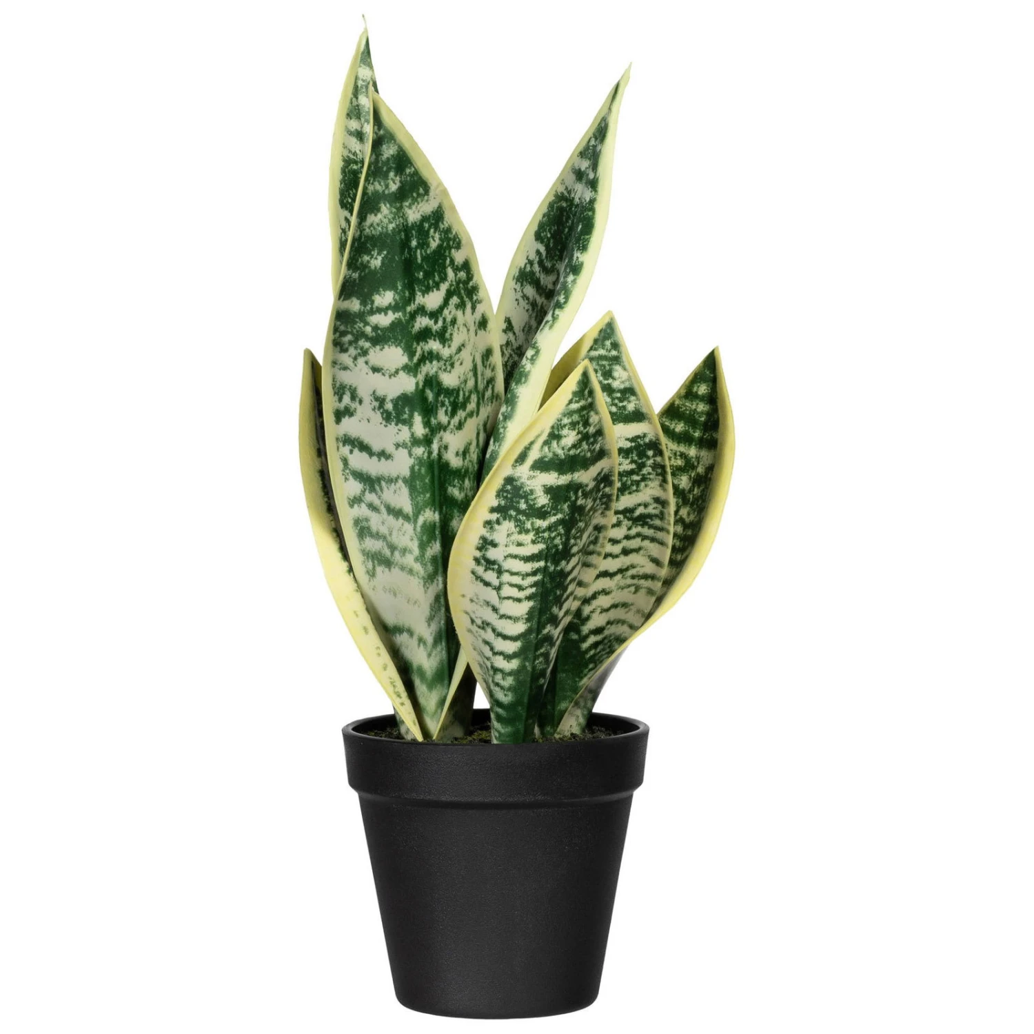 Künstliche Sansevieria, Ca. 8 Blätter, Grünweiß, Ca. 33 Cm