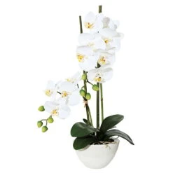 Kunstpflanze Orchidee Phalaenopsis In Keramikschale, Weiß, Ca. 50 Cm