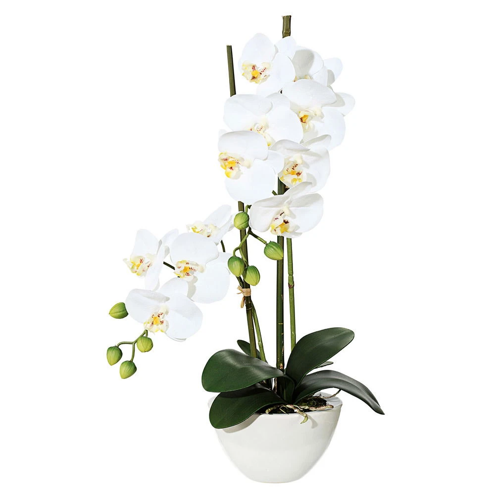 Kunstpflanze Orchidee Phalaenopsis In Keramikschale, Weiß, Ca. 50 Cm
