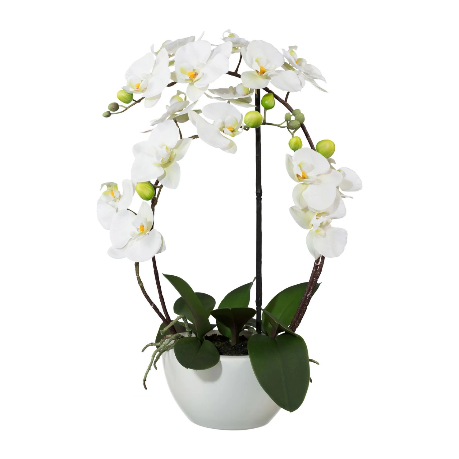 Kunstpflanze Phalaenopsis 'Real Touch', Weiß, Topf-Ø 18 Cm, Höhe Ca. 52 Cm