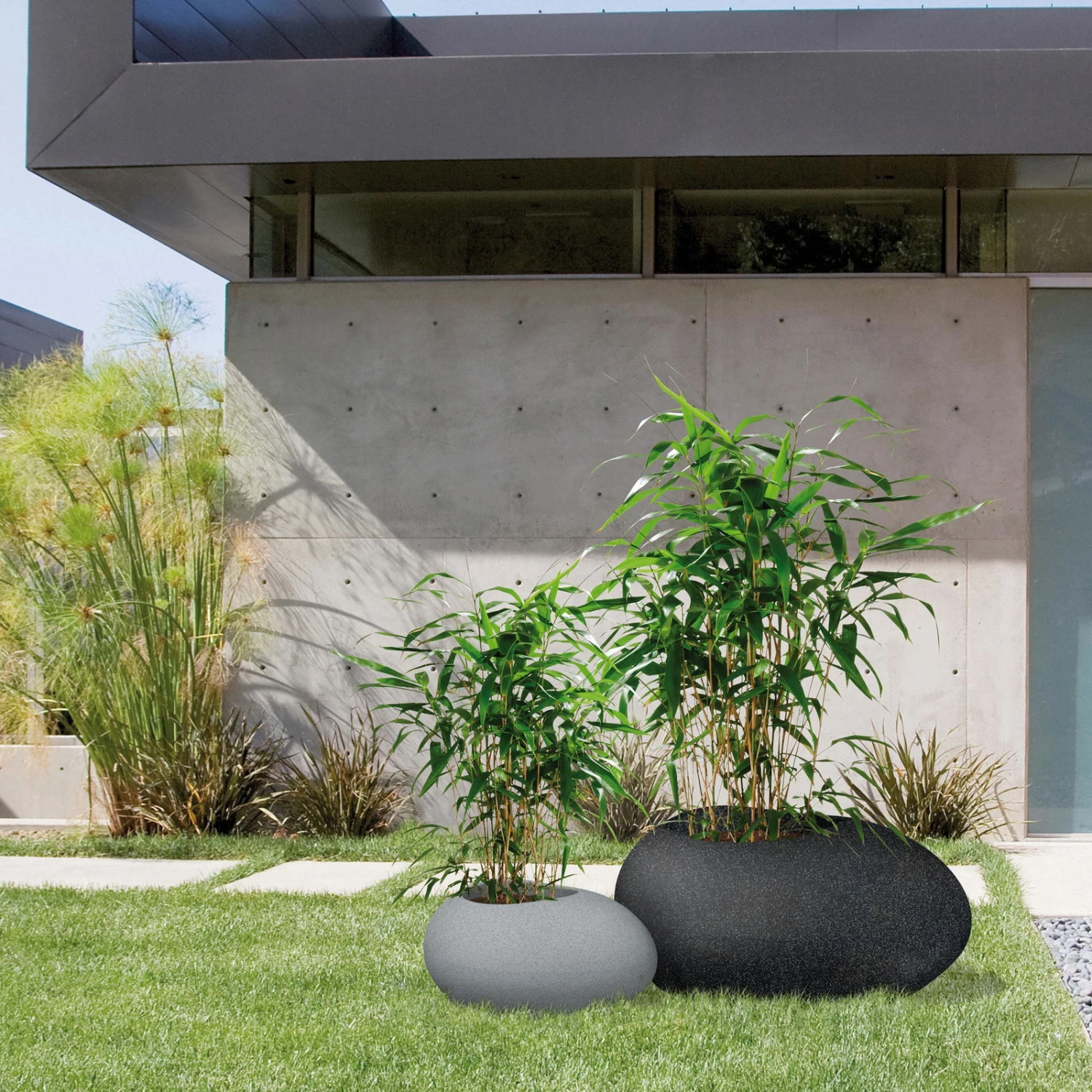 Pflanzstein Flow, Stony Black, L 48 X B 38 X H 23 Cm – Bild 3