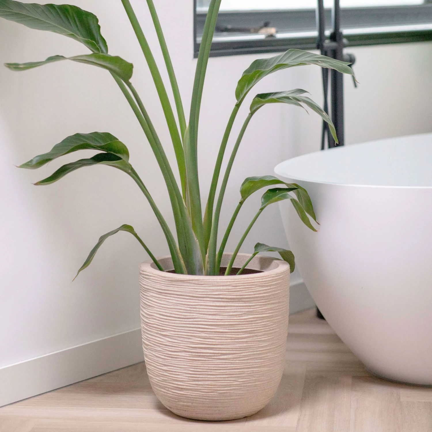 Pflanzgefäß 'Rib', Beige, Ø 35 X H 34 Cm – Bild 4