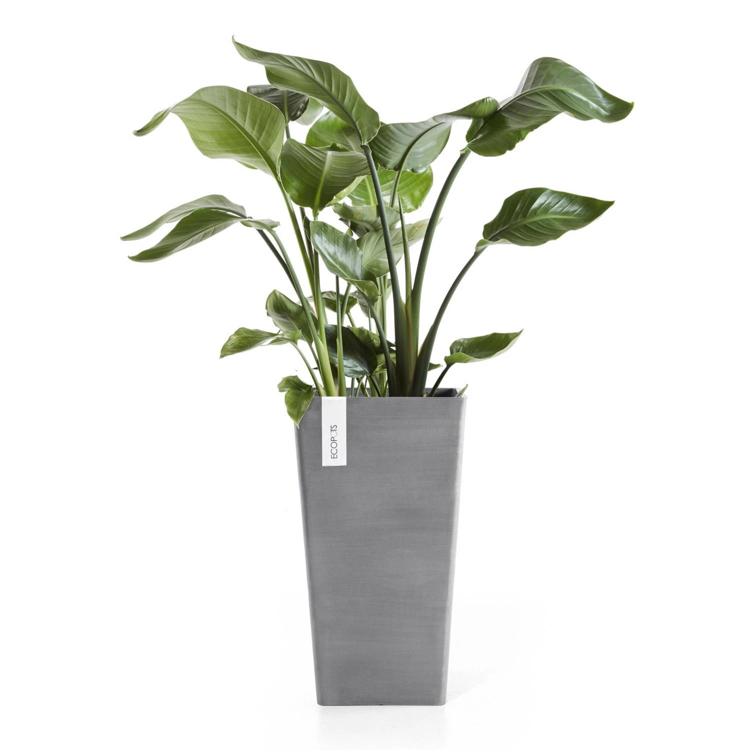 Pflanzgefäß 'Rotterdam MidHigh', Grau, Ø 31 X H 56 Cm – Bild 2