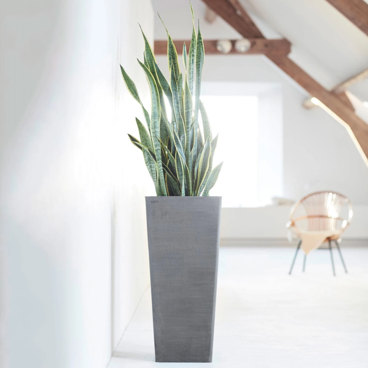 Pflanzgefäß 'Rotterdam MidHigh', Grau – Bild 3