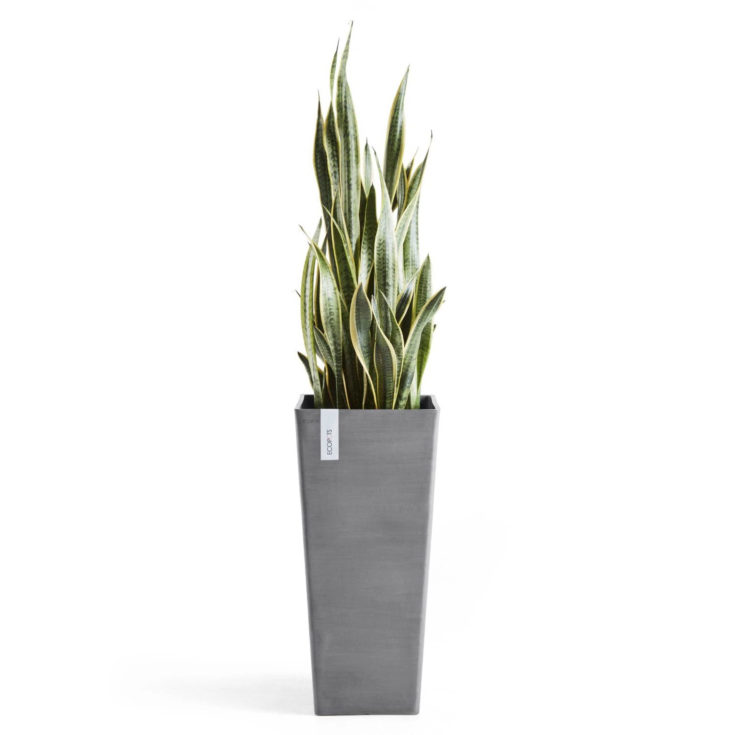 Pflanzgefäß 'Rotterdam MidHigh', Grau – Bild 2