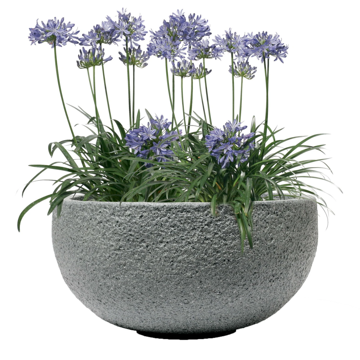Pflanzschale Rock Line Banham, Granitgrau, Ø 35 X H 17 Cm