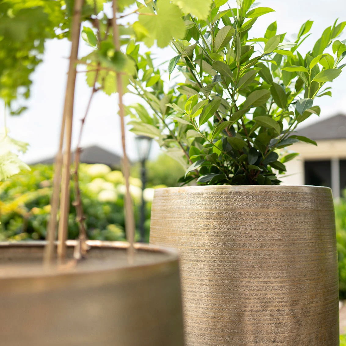 Pflanzgefäß 'Rowen', Gold, Ø 38 X H 62 Cm – Bild 7