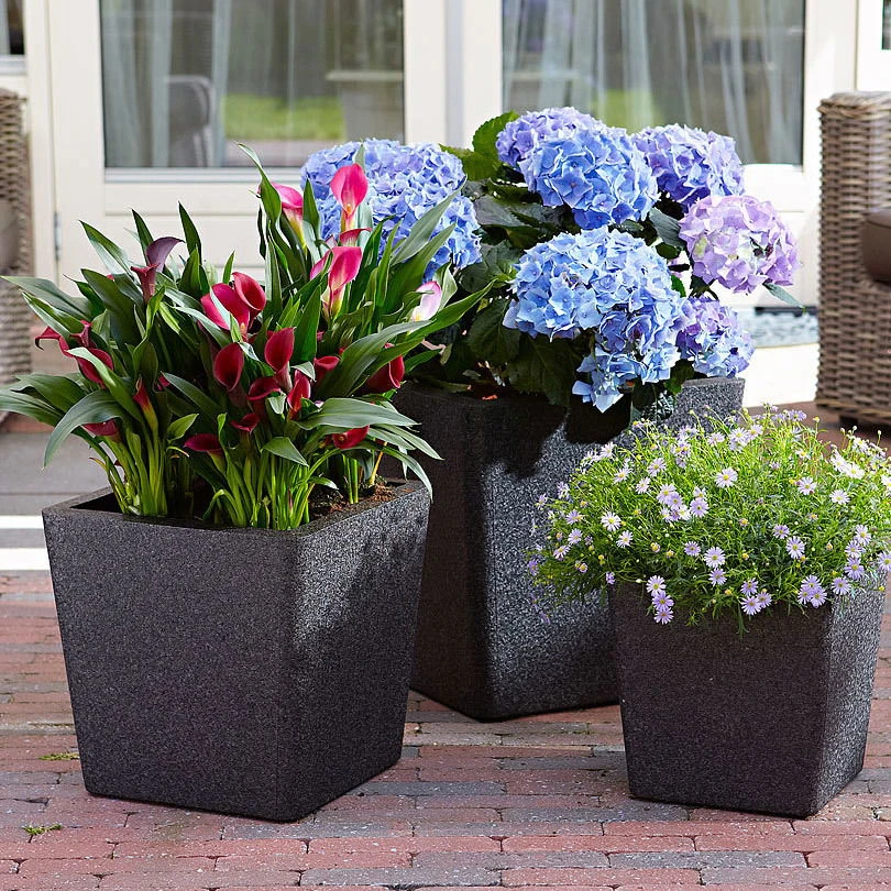 Pflanztrog IQ Dutch Aria, Schwarz, Frostfest Bis - 40 °C, Zu 100% Recycelbar