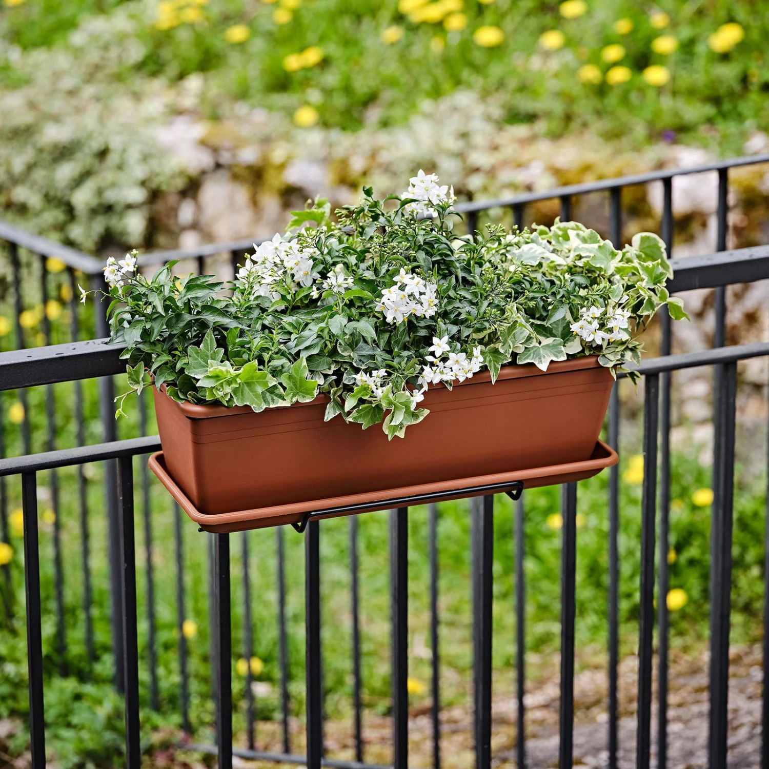 Blumenkasten 'Tera Kit Basic', Terra, Ca. 80 X 17 X 14 Cm – Bild 2