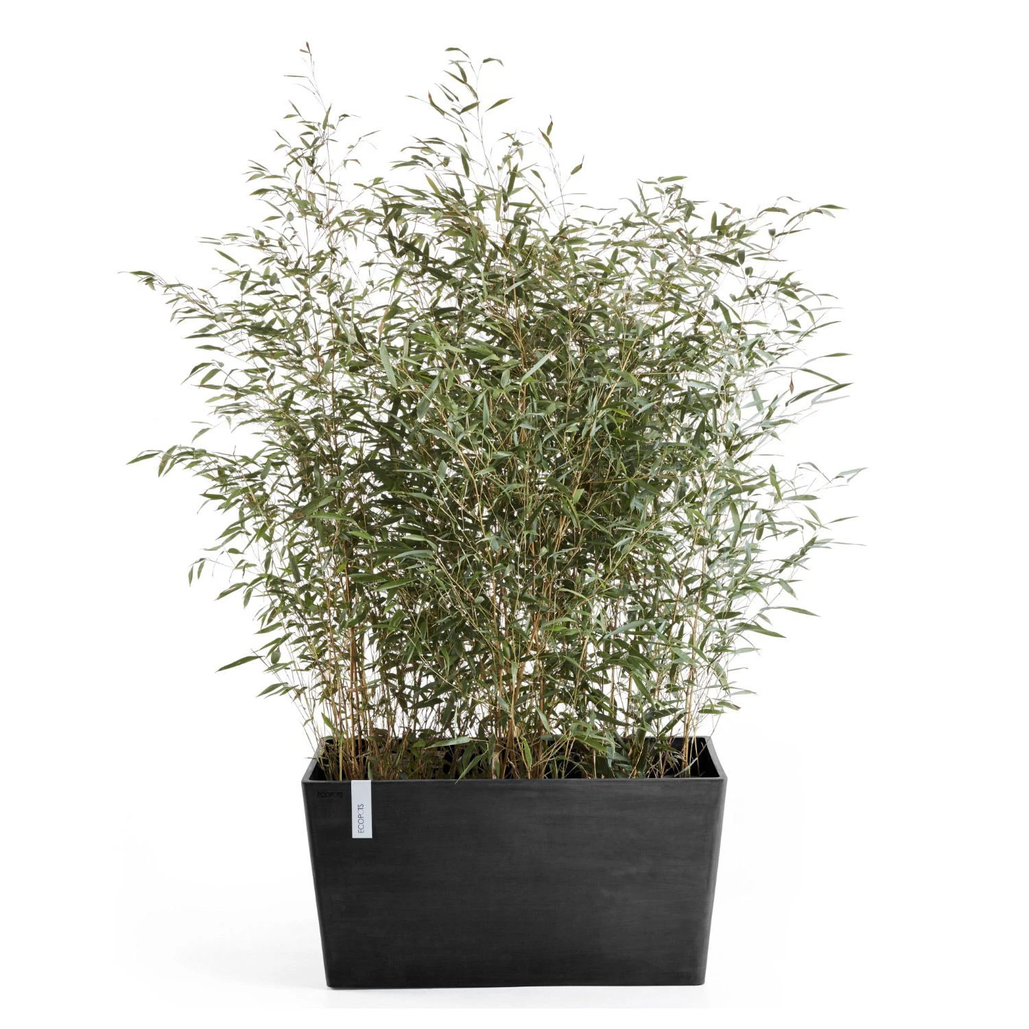 Pflanzkasten 'Paris', Dunkelgrau – Bild 2