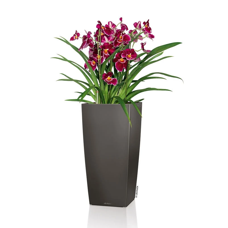 LECHUZA Cubico Premium 40, Anthrazit-metallic, All-in-One-Set, 40 X 40, H:75 Cm