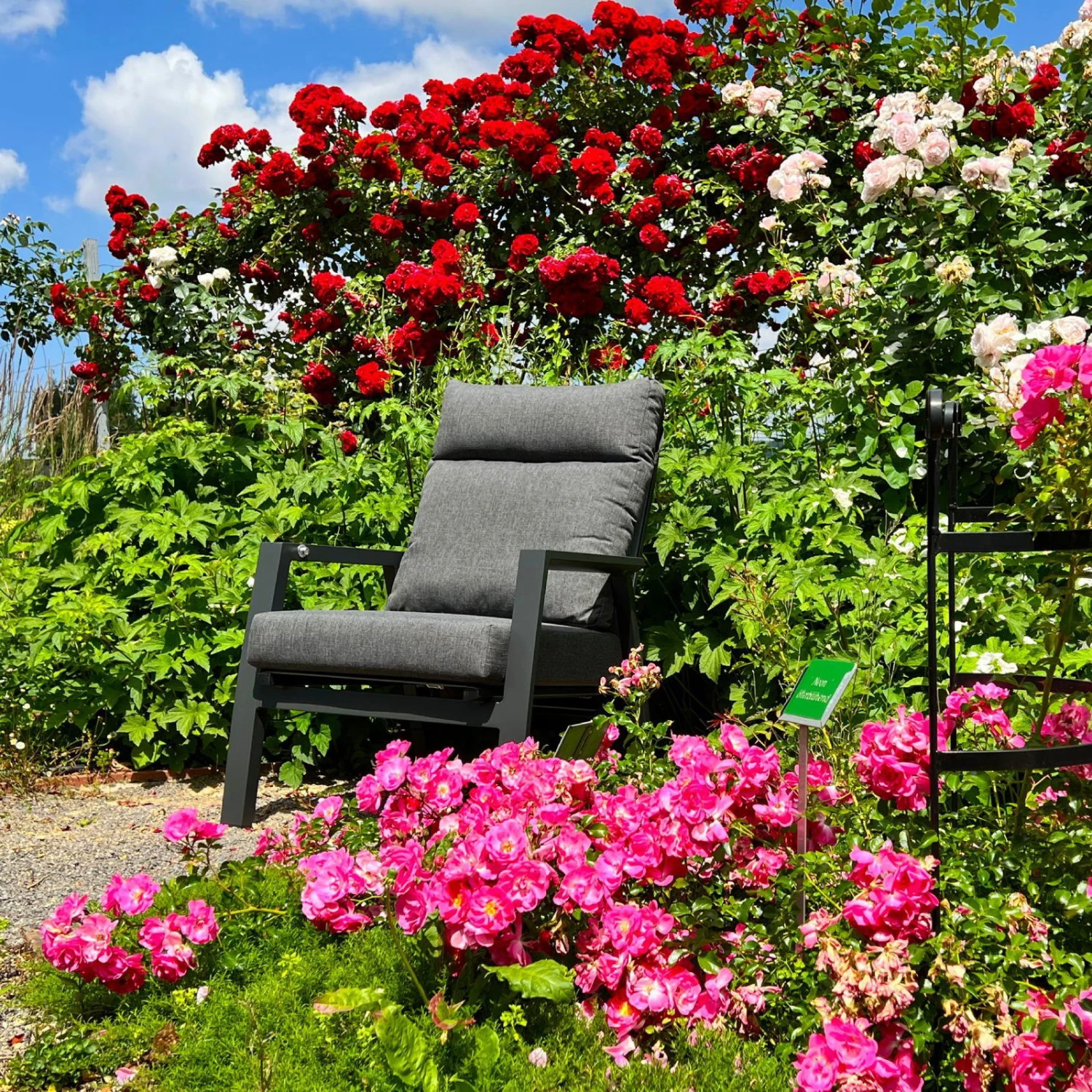 Kölle Sessel 'Australien', Alu, Polyester, Rücken Verstellbar – Bild 9